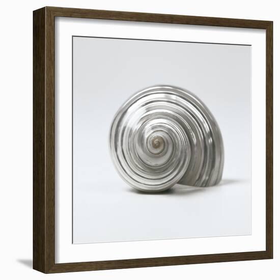 Beachside Treasure II-Assaf Frank-Framed Art Print