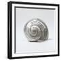 Beachside Treasure II-Assaf Frank-Framed Art Print