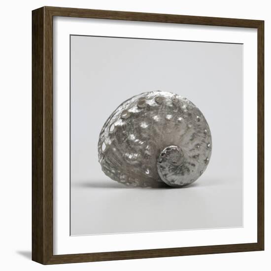 Beachside Treasure IV-Assaf Frank-Framed Art Print