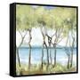 Beachside-Allison Pearce-Framed Stretched Canvas