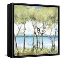 Beachside-Allison Pearce-Framed Stretched Canvas