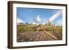 Beachwood Summer-5fishcreative-Framed Giclee Print