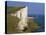 Beachy Head Lighthouse and Chalk Cliffs, Eastbourne, East Sussex, England, United Kingdom, Europe-Stuart Black-Stretched Canvas