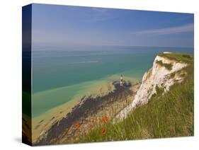 Beachy Head Lighthouse, White Chalk Cliffs, Poppies and English Channel, East Sussex, England, Uk-Neale Clarke-Stretched Canvas