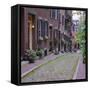 Beacon Hill, Acorn Street, Boston, Massachusetts, New England, USA-Roy Rainford-Framed Stretched Canvas