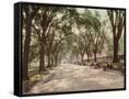 Canvas Black