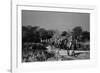 Beaconsfield, 1946-George Greenwell-Framed Photographic Print