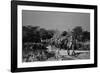 Beaconsfield, 1946-George Greenwell-Framed Photographic Print