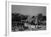 Beaconsfield, 1946-George Greenwell-Framed Photographic Print