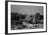 Beaconsfield, 1946-George Greenwell-Framed Photographic Print