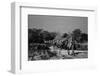 Beaconsfield, 1946-George Greenwell-Framed Photographic Print