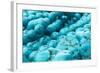 Beads with Natural Stone Turquoise-niknikpo-Framed Photographic Print