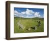 Beaghmore Stone Circle Complex-Kevin Schafer-Framed Photographic Print