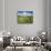 Beaghmore Stone Circle Complex-Kevin Schafer-Photographic Print displayed on a wall