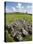 Beaghmore Stone Circles-Kevin Schafer-Stretched Canvas