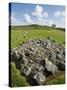 Beaghmore Stone Circles-Kevin Schafer-Stretched Canvas