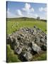 Beaghmore Stone Circles-Kevin Schafer-Stretched Canvas