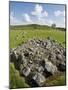 Beaghmore Stone Circles-Kevin Schafer-Mounted Photographic Print