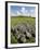 Beaghmore Stone Circles-Kevin Schafer-Framed Photographic Print