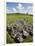 Beaghmore Stone Circles-Kevin Schafer-Framed Photographic Print