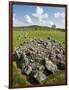 Beaghmore Stone Circles-Kevin Schafer-Framed Photographic Print