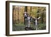 Beagle 11-Bob Langrish-Framed Photographic Print