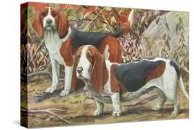 Beagle and Basset Hound-null-Stretched Canvas