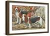 Beagle and Basset Hound-null-Framed Art Print