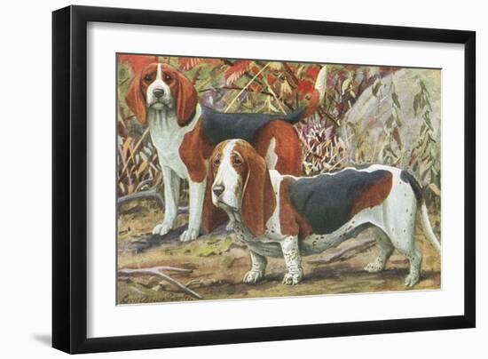 Beagle and Basset Hound-null-Framed Art Print