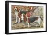 Beagle and Basset Hound-null-Framed Art Print