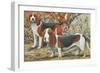 Beagle and Basset Hound-null-Framed Art Print