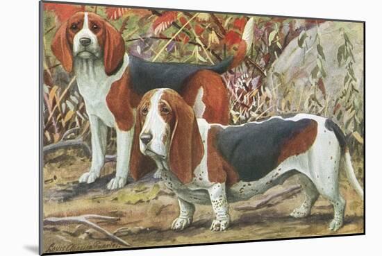 Beagle and Basset Hound-null-Mounted Art Print