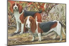 Beagle and Basset Hound-null-Mounted Art Print