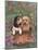 Beagle and Golden Retriever-Judy Mastrangelo-Mounted Giclee Print