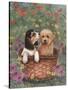 Beagle and Golden Retriever-Judy Mastrangelo-Stretched Canvas