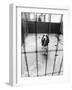 Beagle at Battersea Dog's Home-null-Framed Photographic Print