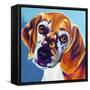 Beagle - Bj-Dawgart-Framed Stretched Canvas