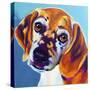 Beagle - Bj-Dawgart-Stretched Canvas