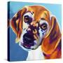 Beagle - Bj-Dawgart-Stretched Canvas