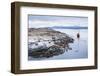 Beagle Channel Sailing Boat Observing Sea Lion Colony, Argentina-Matthew Williams-Ellis-Framed Photographic Print