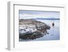 Beagle Channel Sailing Boat Observing Sea Lion Colony, Argentina-Matthew Williams-Ellis-Framed Photographic Print