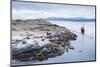 Beagle Channel Sailing Boat Observing Sea Lion Colony, Argentina-Matthew Williams-Ellis-Mounted Photographic Print