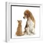 Beagle Dog, Bruce, with Ginger Kitten, Tom-Mark Taylor-Framed Premium Photographic Print