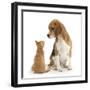 Beagle Dog, Bruce, with Ginger Kitten, Tom-Mark Taylor-Framed Photographic Print