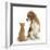 Beagle Dog, Bruce, with Ginger Kitten, Tom-Mark Taylor-Framed Photographic Print