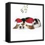 Beagle Dog Puppies Asleep, Wearing Christmas-null-Framed Stretched Canvas