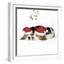 Beagle Dog Puppies Asleep, Wearing Christmas-null-Framed Premium Photographic Print