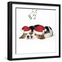 Beagle Dog Puppies Asleep, Wearing Christmas-null-Framed Photographic Print