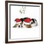 Beagle Dog Puppies Asleep, Wearing Christmas-null-Framed Photographic Print