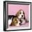 Beagle Dog Puppies-null-Framed Photographic Print